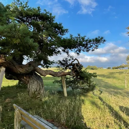 Urlaub Mit Ausblick