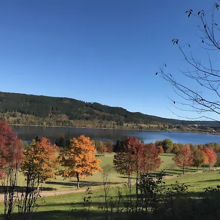 Apartman Urlaub Mit Ausblick Bonndorf im Schwarzwald